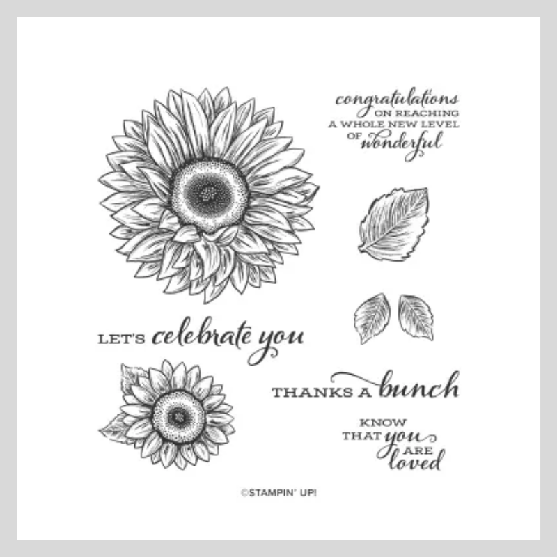 Celebrate Sunflowers stamp set by stampin' Up!