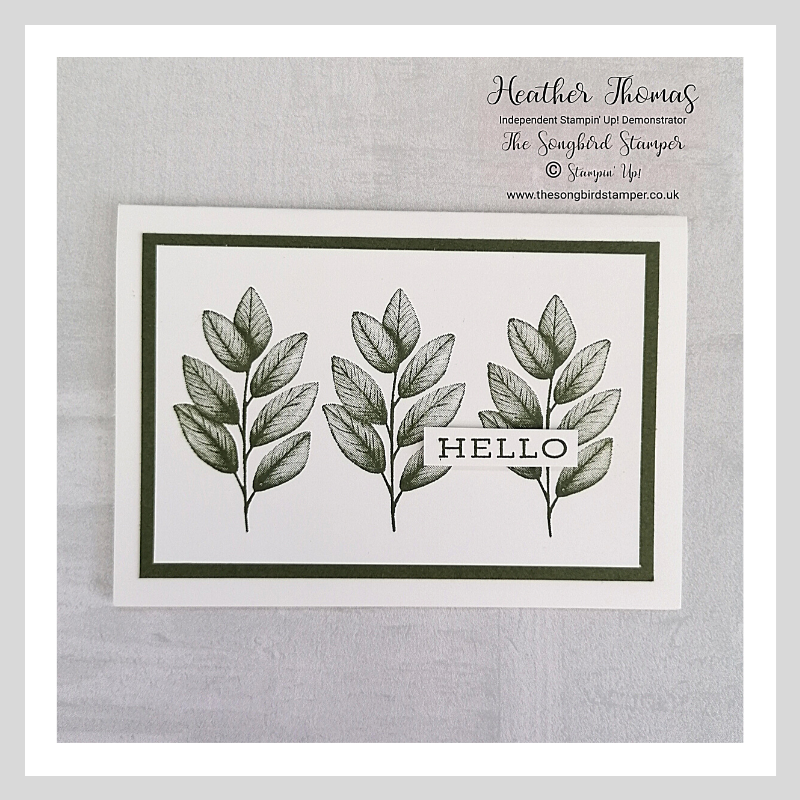A simple stamping project using the Forever Fern stamp set from Stampin' Up!