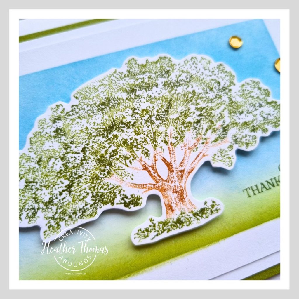 A close up of A simple masculine card with an image of a tree on an ink blended background and the word Thank You