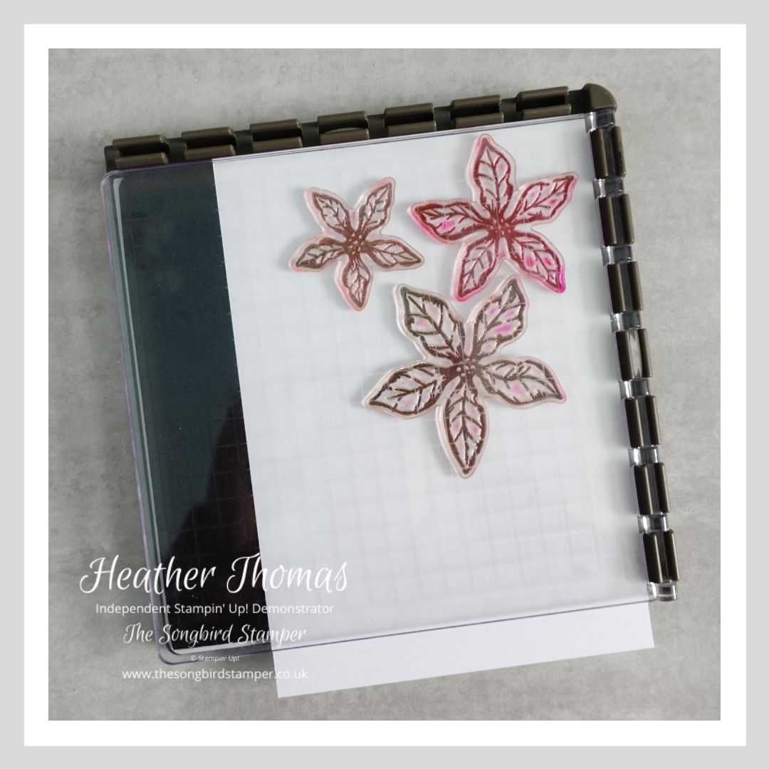 How to use alcohol markers with heat embossing… - The Songbird Stamper