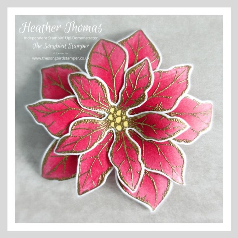 How to use alcohol markers with heat embossing… - The Songbird Stamper