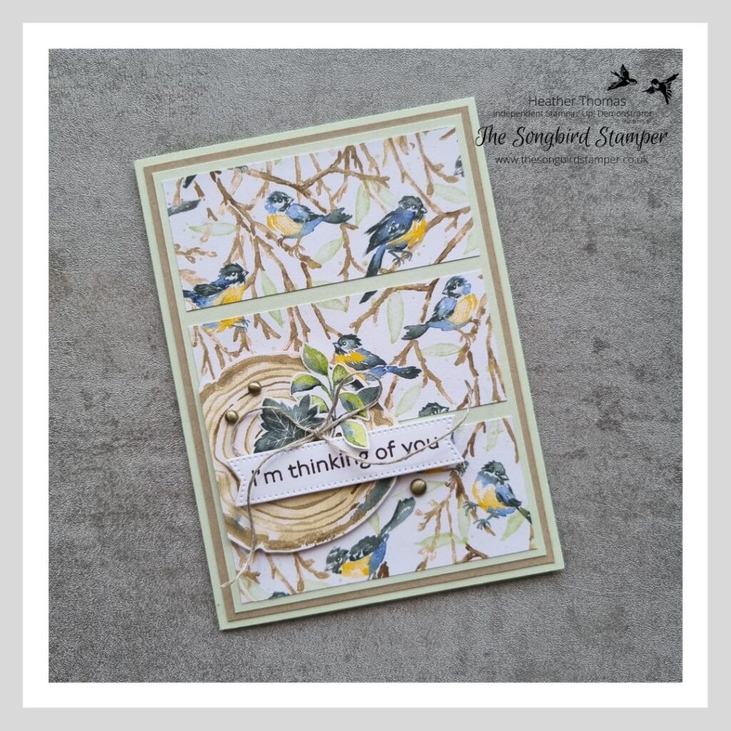 A handmade card, part of a set, with birds, tree rings and leaves, part of a set   showing how to make a matching gift box and card. 