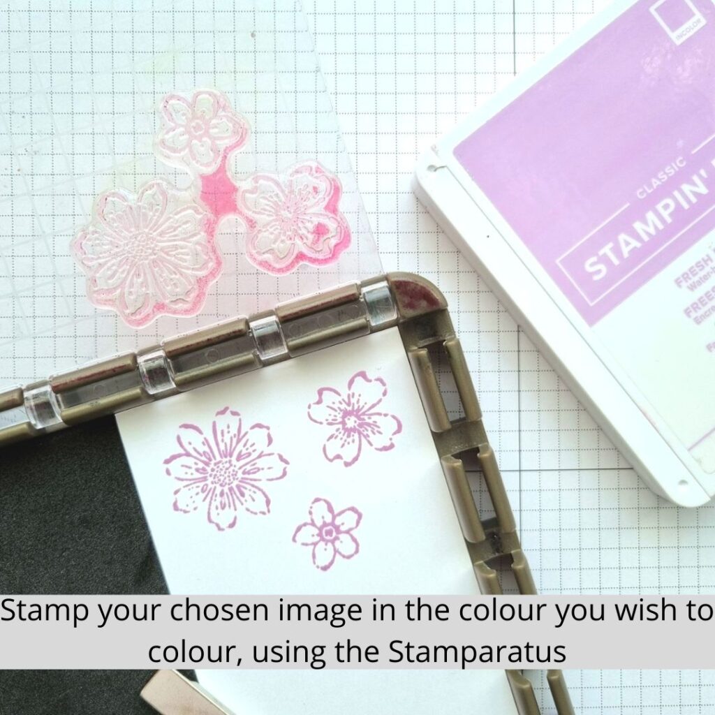 Step 1 showing how to use heat embossing and alcohol markers together - stamp the image in a light colour ink