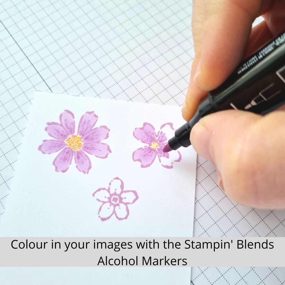 How to use heat embossing and alcohol markers… - The Songbird Stamper