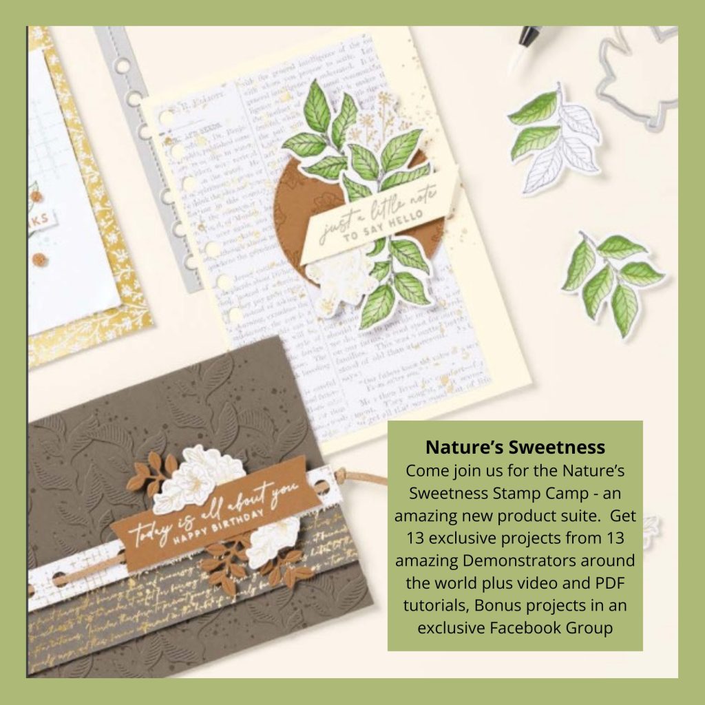 A Graphic showcasing lots of handmade cards using the Natures Sweetness Suite of products from Stampin' Up!